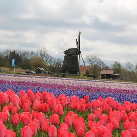 Vogelvrij, Woning Met Landelijk Uitzicht En Geheel Omheinde Tuin Holiday home