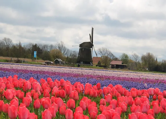 Vogelvrij, Vakantie Woningen Met Geheel Omheinde Tuin 펜션