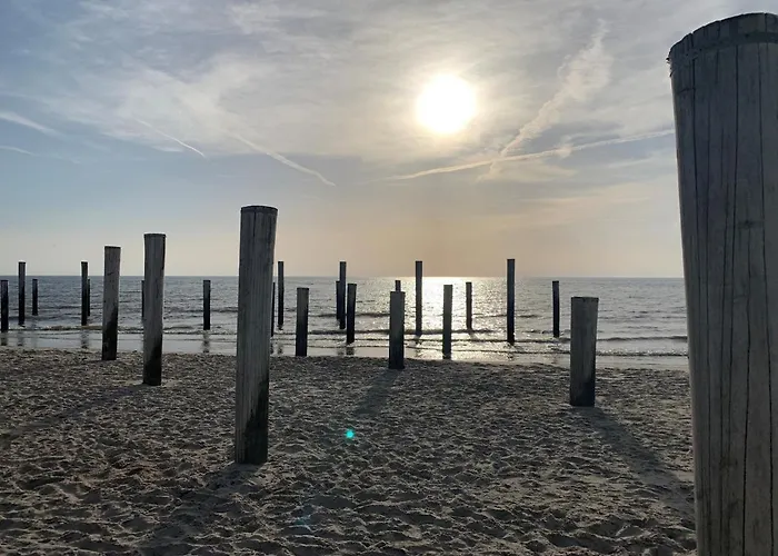 펜션 Vogelvrij, Vakantie Woningen Met Geheel Omheinde Tuin