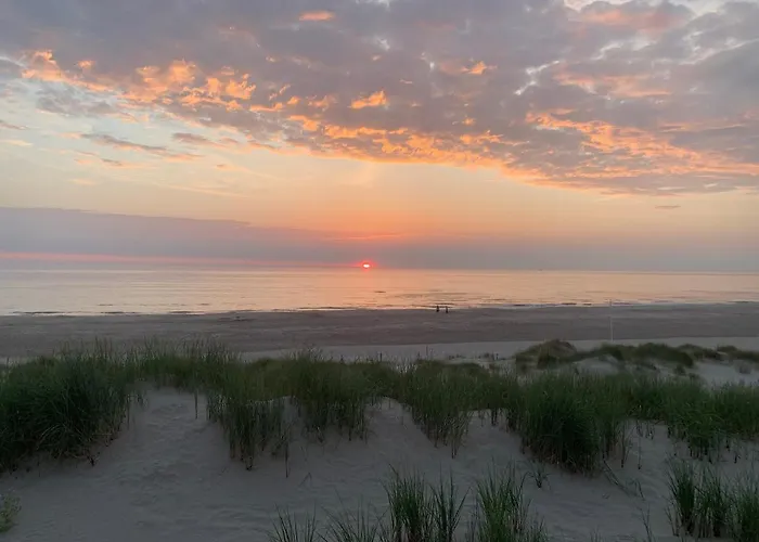 펜션 Vogelvrij, Vakantie Woningen Met Geheel Omheinde Tuin Burgerbrug