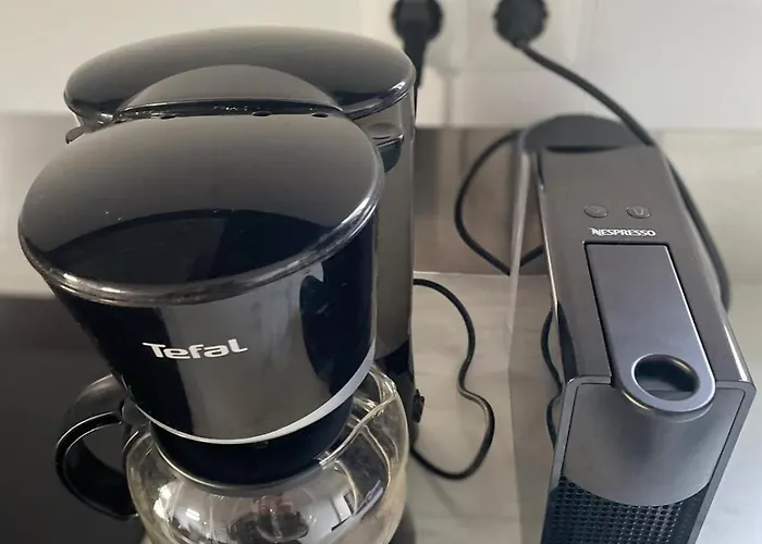 펜션 Vogelvrij, Vakantie Woningen Met Geheel Omheinde Tuin *